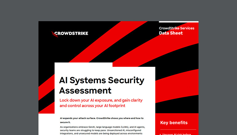 Article AI Systems Security Assessment Image