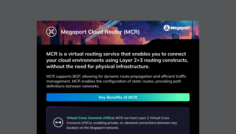 Article Megaport Cloud Router Image