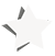 decorative star icon