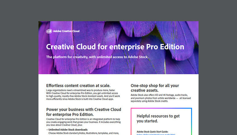 Article Creative Cloud for Enterprise Pro Edition Image
