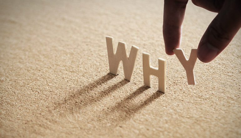 Article The Only Question a Product Owner Needs to Ask Image