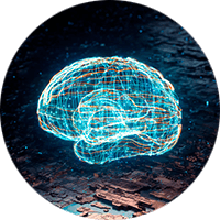 Visual presentation of human brain