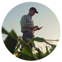 Farmer in field on tablet device
