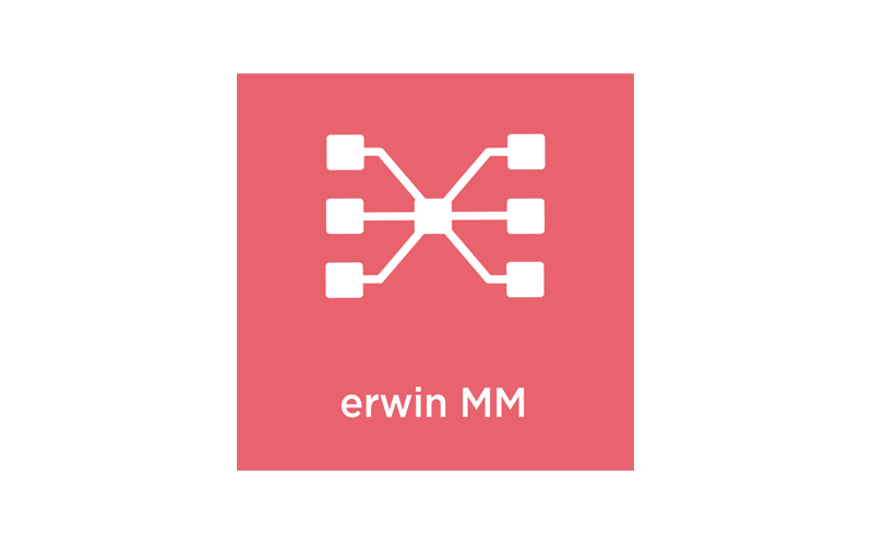 erwin Mapping Manager logo
