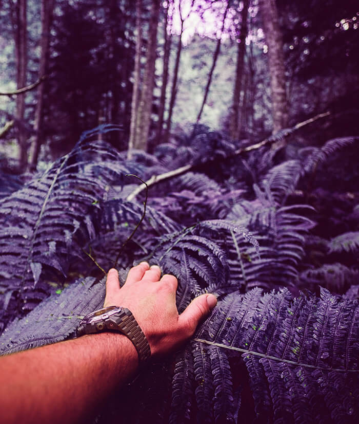 Hand pushing back leaves in uncharted jungle