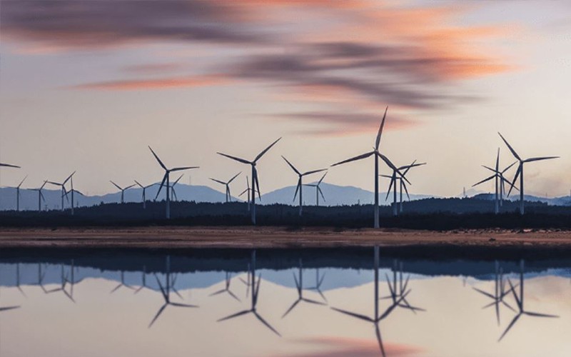 Tangible carbon offset