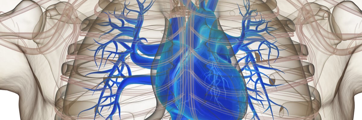 Use the resources you have more efficiently through Supply Chain Optimization Concept of technology procurement specialist reviewing business software needs and capabilities