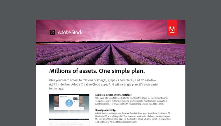 Millions of Assets. One Simple Plan PDF thumbnail
