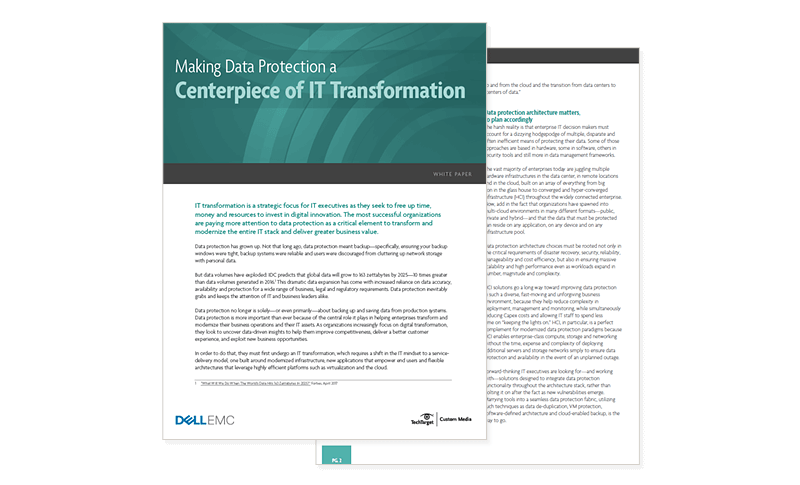 Making Data Protection a Centerpiece cover available to register to download