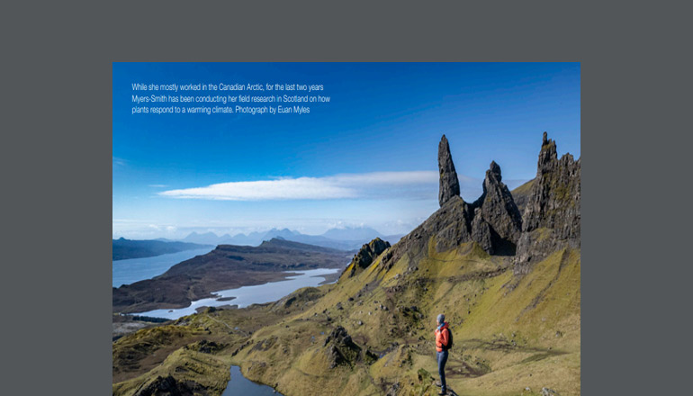 The Greening of the Arctic Tundra The Greening of the Arctic Tundra thumbnail