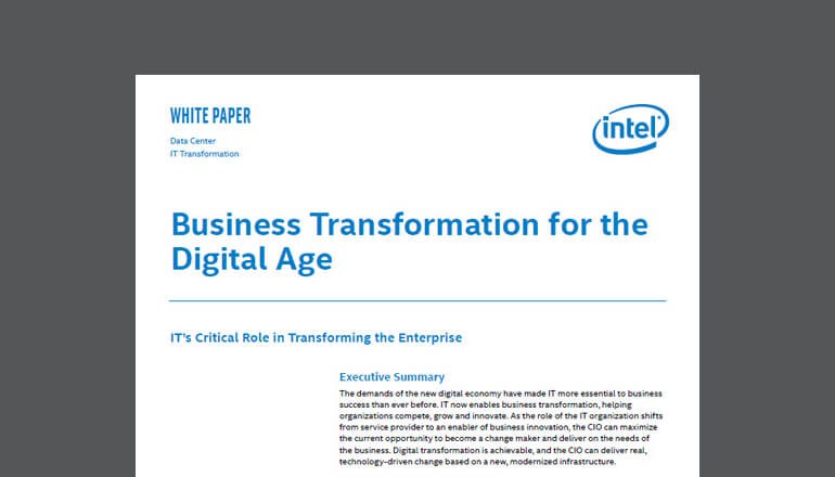 Business Transformation for the Digital Age thumbnail