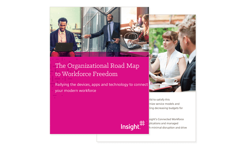 The Organizational Road Map to Workforce Freedom eBook cover