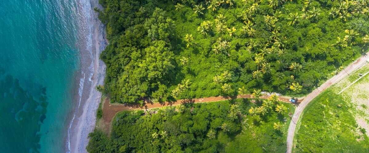Birds eye view of road leading to a beach