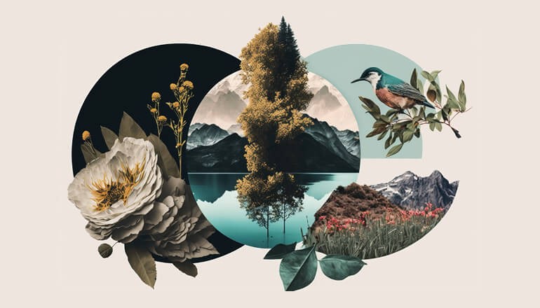 Learn about the latest innovations in Adobe’s Creative Cloud and Acrobat Pro. Rendering of cool Adobe Generative AI Creative cloud Pro illustration. Adobe MAX, Creative Cloud Express