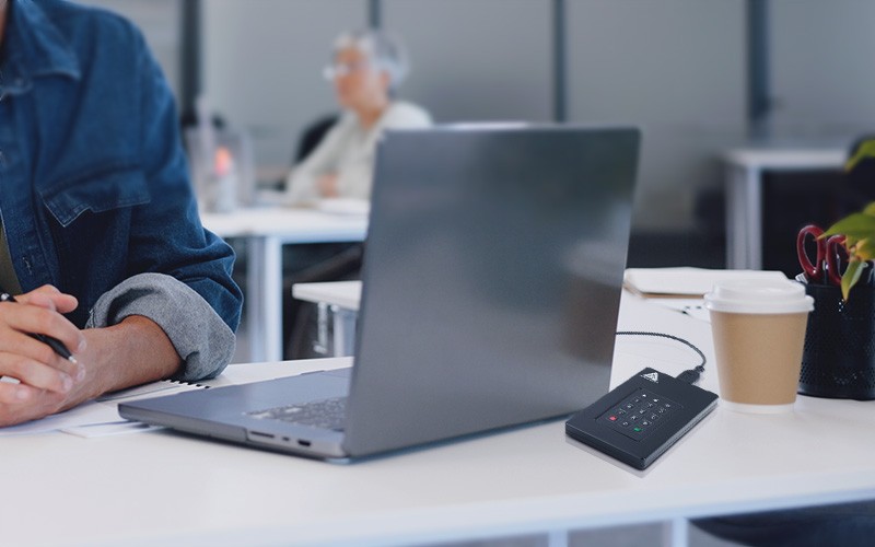 Professional using laptop