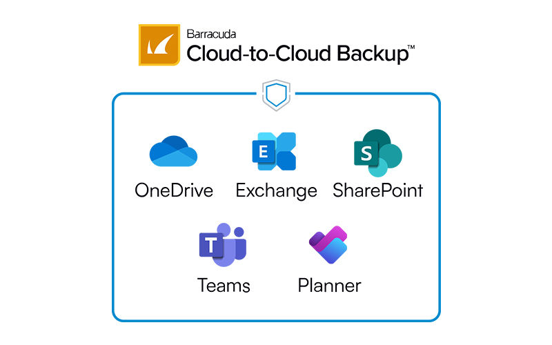 Cloud-to-Cloud Backup Teammates working together at the office