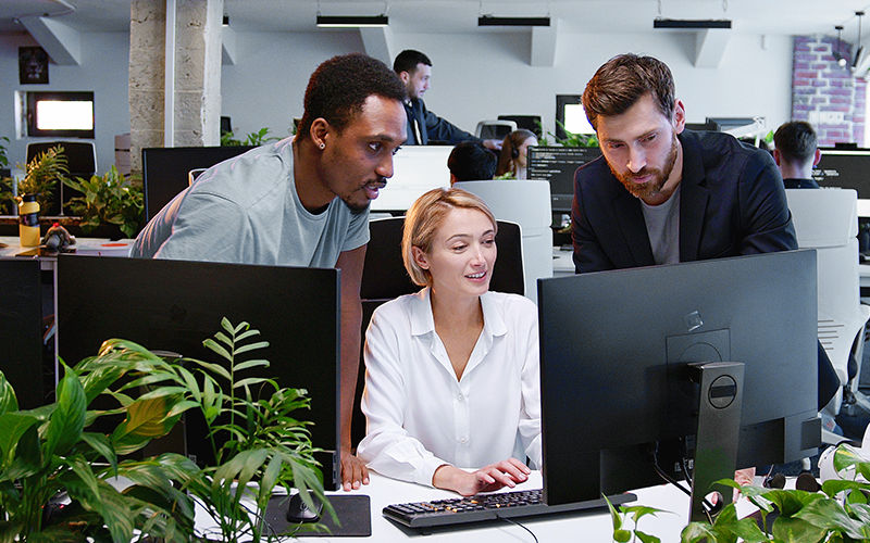 Install endpoint privilege security.