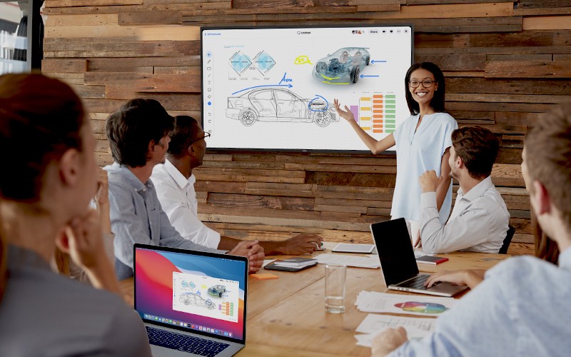 Professionals on a meeting