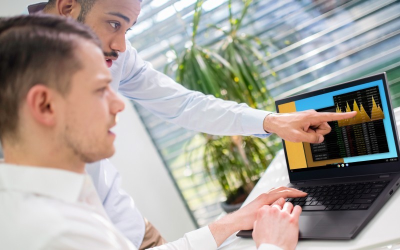 Two users working on laptop