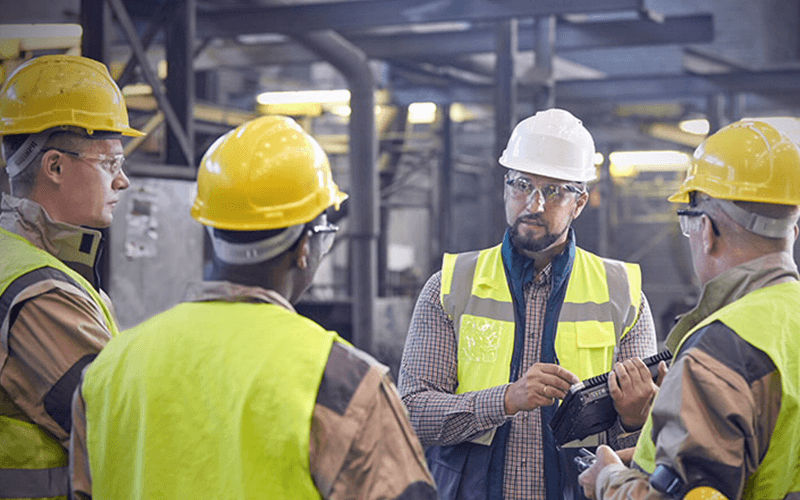 Workmates collaborating with each other